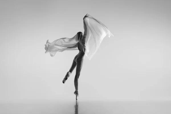 Μαύρο και άσπρο πορτρέτο από χαριτωμένη μπαλαρίνα που χορεύει με ύφασμα, ύφασμα που απομονώνεται σε γκρι φόντο στούντιο. Χάρη, τέχνη, έννοια της ομορφιάς. Άβαροι, ευέλικτοι. — Φωτογραφία Αρχείου