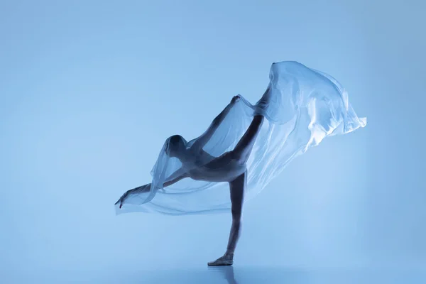 Ritratto di donna flessibile, ballerina graziosa che balla con tessuto, panno isolato su sfondo blu da studio. Grazia, arte, concetto di bellezza. Senza peso, tenerezza. — Foto Stock