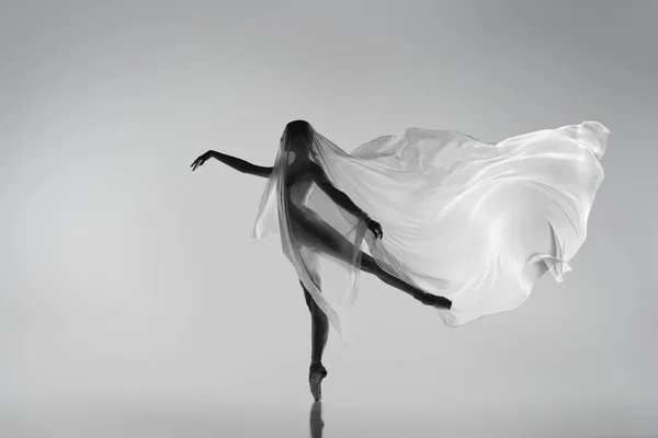 Retrato preto e branco de bailarina graciosa dançando com tecido, pano isolado em fundo estúdio cinza. Graça, arte, conceito de beleza. Sem peso, flexível. — Fotografia de Stock