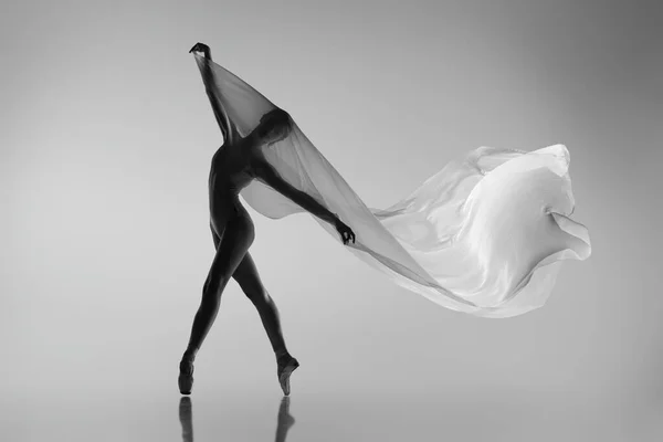 Gri stüdyo arka planında izole edilmiş kumaşla dans eden zarif balerinin siyah beyaz portresi. Zarafet, sanat, güzellik konsepti. Ağırlıksız, esnek.. — Stok fotoğraf