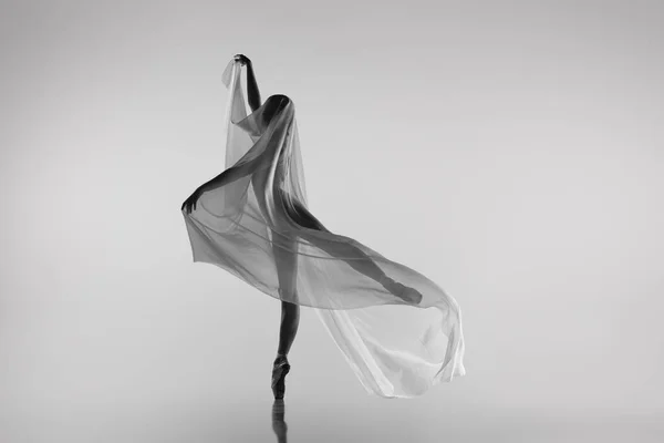 Černobílý portrét půvabné baletky tančící s látkou, látka izolovaná na šedém pozadí studia. Grace, umění, krása. Beztížný, ohebný. — Stock fotografie
