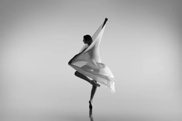 Retrato preto e branco de bailarina graciosa dançando com tecido, pano isolado em fundo estúdio cinza. Graça, arte, conceito de beleza. Sem peso, flexível. — Fotografia de Stock