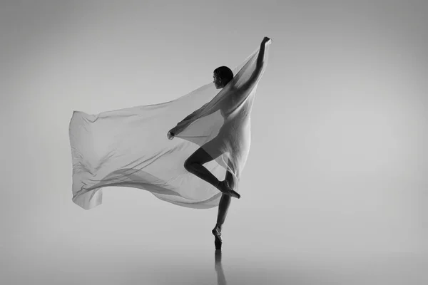 Retrato preto e branco de bailarina graciosa dançando com tecido, pano isolado em fundo estúdio cinza. Graça, arte, conceito de beleza. Sem peso, flexível. — Fotografia de Stock