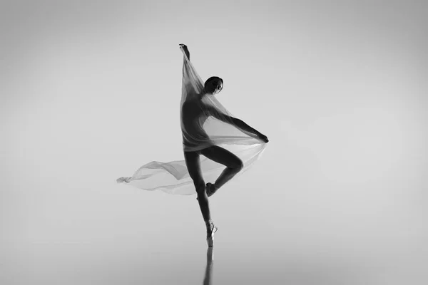 Ritratto in bianco e nero di graziosa ballerina danzante con stoffa isolata su sfondo grigio studio. Grazia, arte, concetto di bellezza. Senza peso, flessibile. — Foto Stock