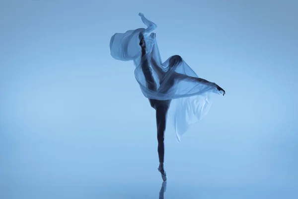 Esnek kadın portresi, kumaşla dans eden zarif balerin mavi stüdyo arka planında izole edilmiş kumaş. Zarafet, sanat, güzellik konsepti. Ağırlıksız, şefkatli.. — Stok fotoğraf