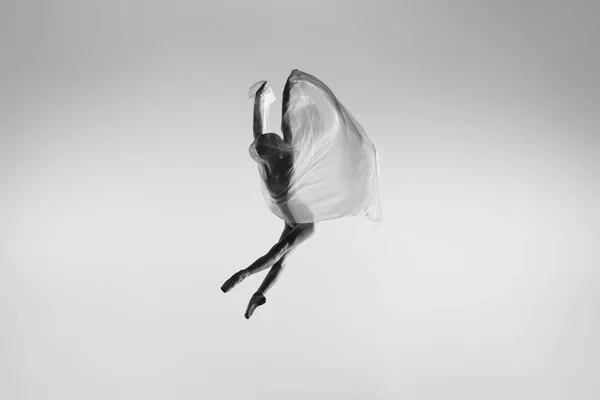 Retrato preto e branco de bailarina graciosa dançando com tecido, pano isolado em fundo estúdio cinza. Graça, arte, conceito de beleza. Sem peso, flexível. — Fotografia de Stock