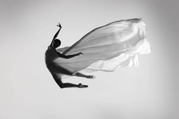 Retrato preto e branco de bailarina graciosa dançando com tecido, pano isolado em fundo estúdio cinza. Graça, arte, conceito de beleza. Sem peso, flexível. — Fotografia de Stock