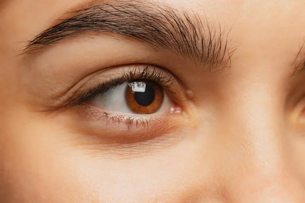 Beskuren närbild av kvinnliga vackra bruna ögon ser vänster sida isolerad över vit studio bakgrund — Stockfoto