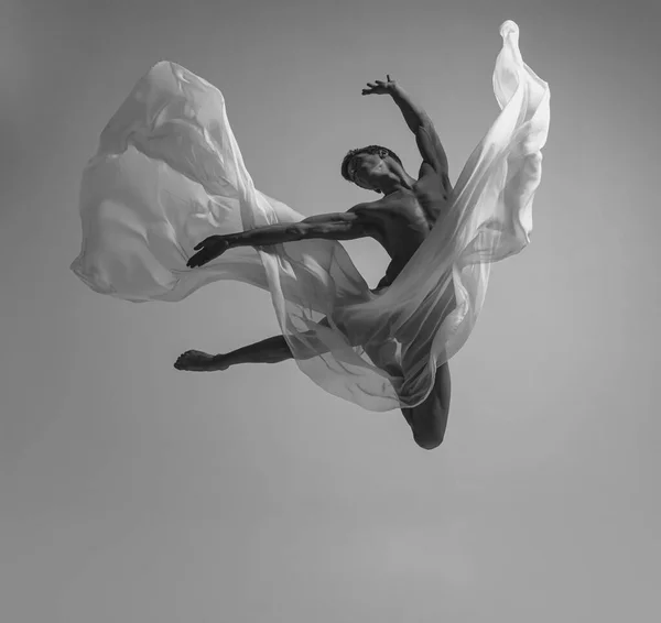 Black and white portrait of graceful muscled male ballet dancer dancing with fabric, cloth isolated on grey studio background. Grace, art, beauty concept. Weightless, flexible. — Photo