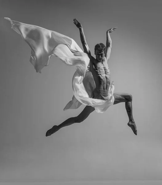 Desejo. Retrato preto e branco de dançarino de balé masculino musculoso gracioso dançando com tecido, pano isolado em fundo de estúdio cinza. Graça, arte, conceito de beleza. — Fotografia de Stock