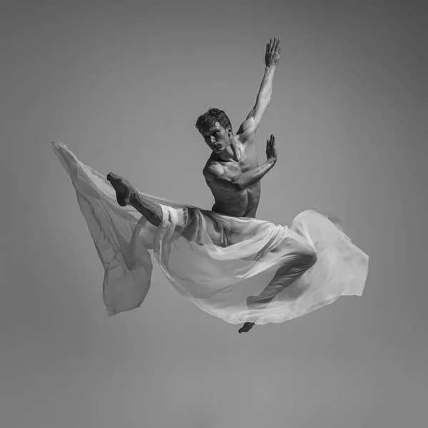 A sós. Retrato preto e branco de dançarino de balé masculino musculoso gracioso dançando com tecido, pano isolado em fundo de estúdio cinza. Graça, arte, conceito de beleza. Sem peso, flexível. — Fotografia de Stock