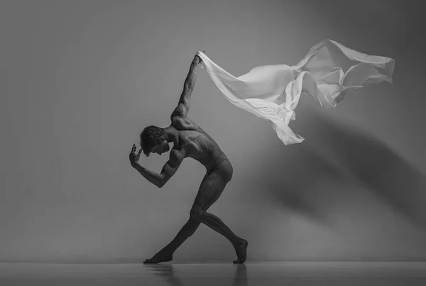 Retrato preto e branco de dançarino de balé masculino musculoso gracioso dançando com tecido, pano isolado em fundo de estúdio cinza. Graça, arte, conceito de beleza. Sem peso, flexível. — Fotografia de Stock