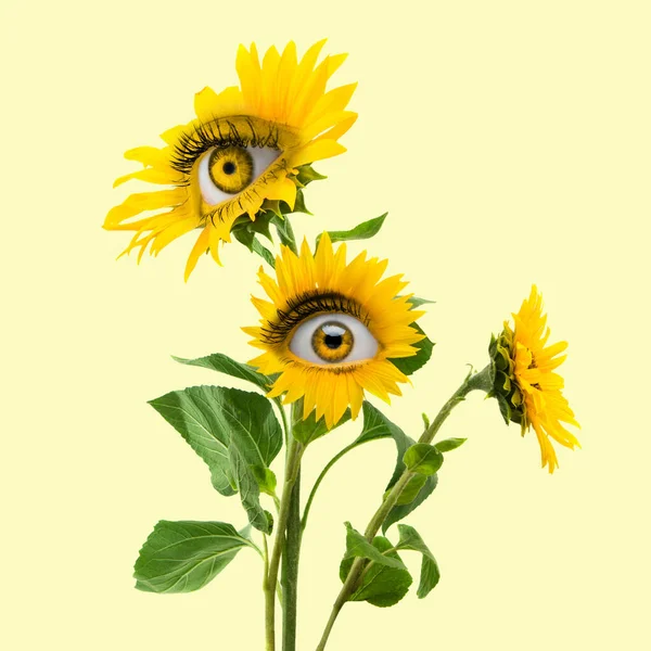 Funny bush. Yellow camomile flowers with an eye inside it on light background. Modern design. Contemporary art. Beauty, art, vision, fashion. Surrealism — ストック写真