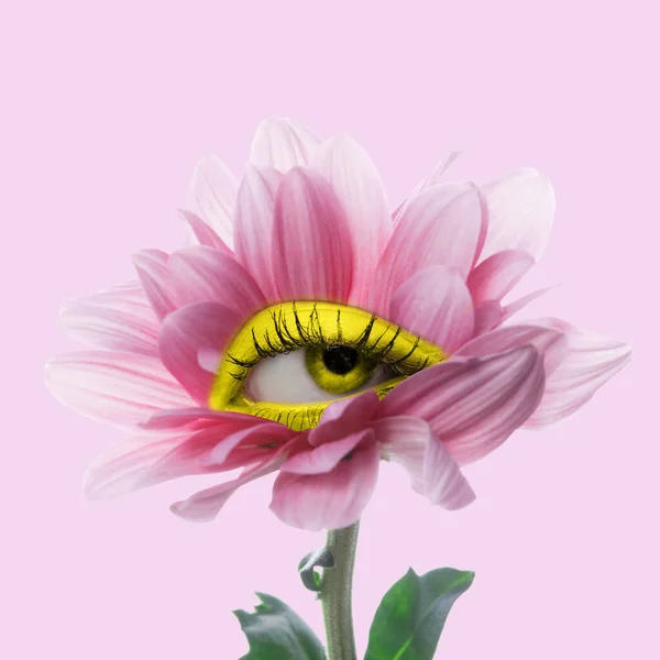 Chrysant bloem met een oog erin op roze achtergrond. Modern design. Hedendaagse kunst. Creatieve collage. Schoonheid, kunst, visie, mode — Stockfoto