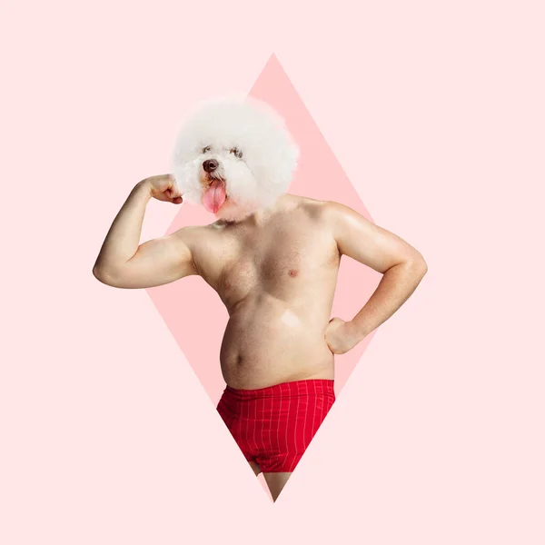 Hedendaagse kunst collage. Shirtless dikke man in rood ondergoed met schattige hond muilkorf hoofd, tonen spieren geïsoleerd over roze achtergrond — Stockfoto