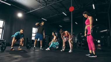 Spor yapan bir grup genç arkadaş, spor salonunda antrenman, ağırlık kaldırmak, halterler.
