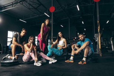 Spor yapan bir grup genç arkadaş, spor salonunda antrenman yapıyorlar. Sağlık anlayışı, spor yaşam tarzı, fitness