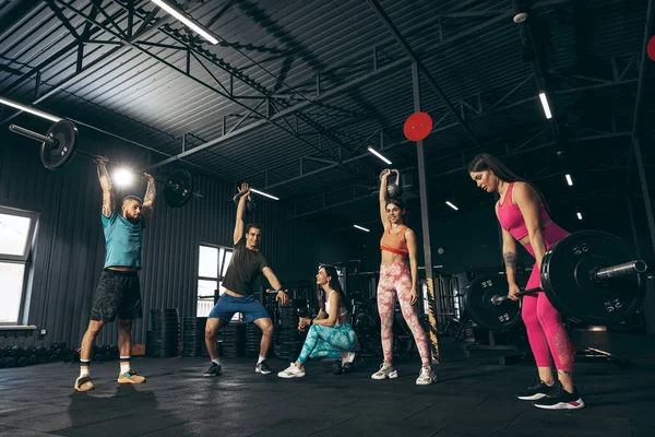 Spor yapan, spor yapan, spor salonunda antrenman yapan, ağırlık kaldıran bir grup genç arkadaş.