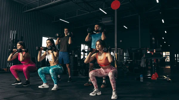 Grupa młodych przyjaciół uprawiających sport, trenujących na siłowni w pomieszczeniach. Sportowcy podnoszący hantle — Zdjęcie stockowe