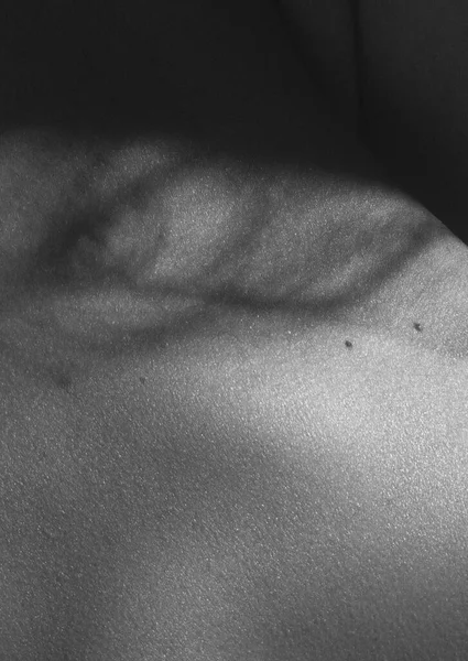Detailed texture of human female skin. Close up part of womans body. Skincare, bodycare, healthcare, hygiene and medicine concept. Macro photography — Fotografia de Stock