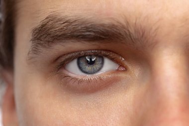 Closeup male blue eyes of young handsome man isolated on white studio background. Concept of mens health, vision, self-care, medicine and cosmetics.