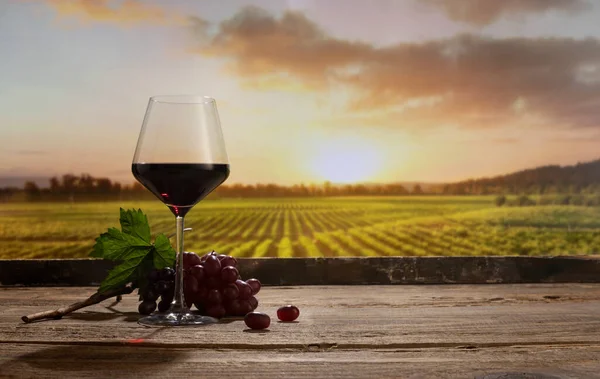 Still life with red wine glass and grapes on wooden table over background of panoramic view of lush vineyards at sunset. Tasting, festivals, country lifestyle and winemaking concept — Foto de Stock