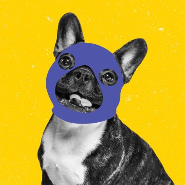 Fransız bulldog 'u. Çağdaş sanat kolajı. Parlak neon arka planda izole edilmiş kar maskesi takan sevimli bir köpek. İlham verici sanat, hayvanlar, hayvanlar, mizah ve moda kavramı.