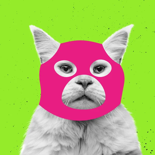 Creative portrait of cute cat wearing drawn balaclava isolated on bright neon background. Inspirative art, pets, animal, humor and fashion concept.