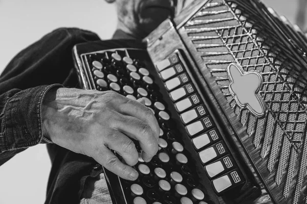 Retrato monocromático del hombre seniot, músico retro tocando el acordeón aislado sobre fondo blanco. Concepto de arte, música, estilo, generación mayor, vintage —  Fotos de Stock