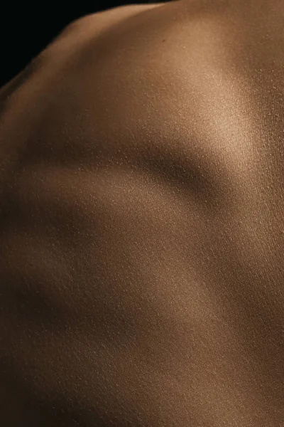 Zurück zur Kurvenlinie. Detaillierte Textur der menschlichen weiblichen Haut. Nahaufnahme eines Teils des Frauenkörpers. Hautpflege, Körperpflege, Gesundheitswesen, Hygiene und Medizinkonzept. — Stockfoto