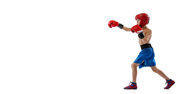 Портрет маленького мальчика, ребенка в боксерских перчатках и шортах тренировки изолированы на белом фоне студии. О спорте, движении, учебе, достижениях. — стоковое фото