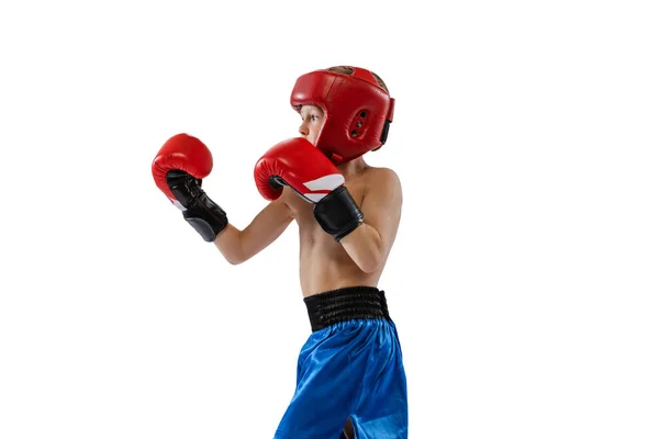 Portret van kleine jongen, kind in boxerhandschoenen en korte broek training geïsoleerd op witte studio achtergrond. Begrip sport, beweging, studie, verwezenlijkingen levensstijl. — Stockfoto