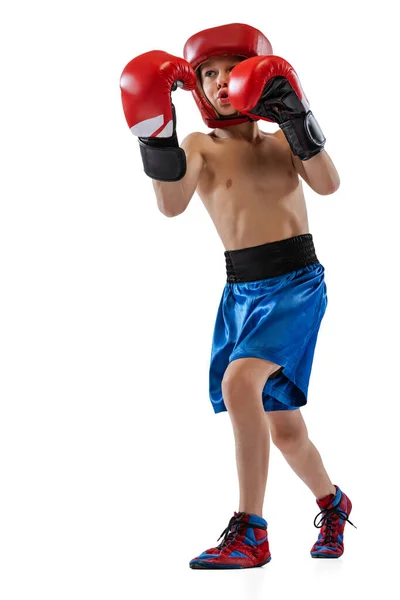 Retrato de niño pequeño, niño con guantes de boxeador y pantalones cortos entrenando aislado sobre fondo blanco del estudio. Concepto de deporte, movimiento, estudio, logros estilo de vida. — Foto de Stock
