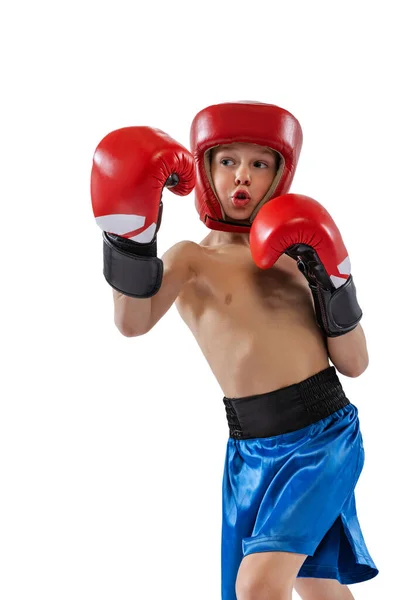 Портрет маленького мальчика, ребенка в боксерских перчатках и шортах тренировки изолированы на белом фоне студии. О спорте, движении, учебе, достижениях. — стоковое фото