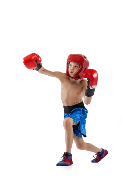 Küçük bir çocuk portresi, boksör eldivenli ve şortlu bir çocuk beyaz stüdyo arka planında izole edilmiş. Spor anlayışı, hareket, öğrenim, başarı yaşam tarzı. — Stok fotoğraf