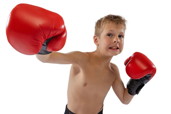 Zbliżenie obrazu małego męskiego boksera w czerwonych rękawiczkach bokserskich pozujących na białym tle studia. Pojęcie sportu, ruchu, studiów, osiągnięć — Zdjęcie stockowe