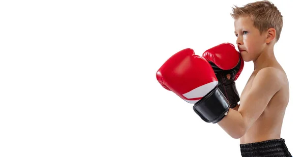 Крупный план маленького боксера в красных боксёрских перчатках, позирующего изолированно на белом фоне студии. Понятие спорта, движения, учебы, достижений — стоковое фото
