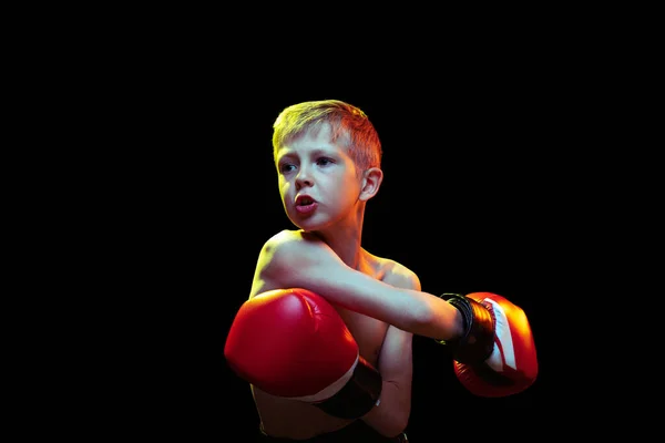 Menino esportivo, boxeador iniciante em luvas de boxeador vermelho e treinamento de shorts isolado em fundo escuro. Conceito de esporte, movimento, estudo, conquistas, estilo de vida ativo. — Fotografia de Stock