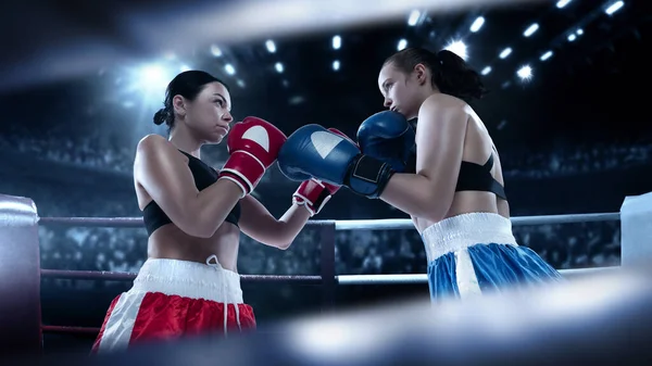 学院与年轻的女职业拳击手在运动中的拳击手套和动作在画拳击台背景与聚光灯。体育、竞赛的概念 — 图库照片