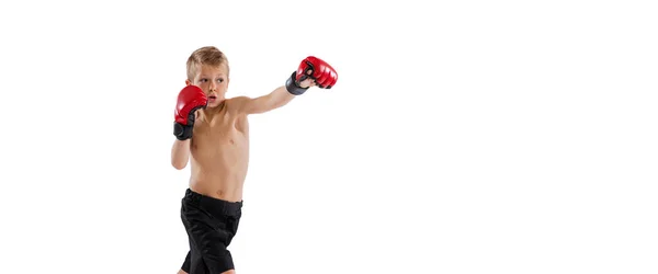 Menino Garoto Tiros Esportivos Luvas Praticando Boxe Tailandês Fundo Estúdio — Fotografia de Stock