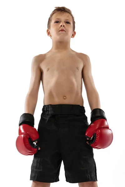 Retrato Close Menino Criança Tiros Esportivos Luvas Posando Fundo Estúdio — Fotografia de Stock