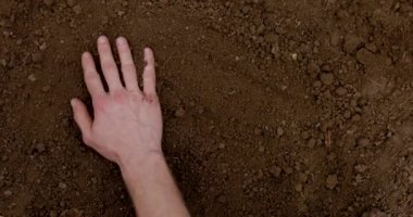 Saha işleri. Erkek eller kara toprağı yoğurur, baharda toprağı ekime hazırlar. İş, meslek, biyolojik ürün, ekoloji, sebze yetiştirme kavramı. 4k, video. Yakın çekim.