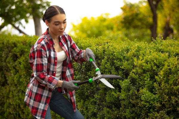 Potong Cabang Petani Muda Bekerja Kebun Hari Yang Cerah Wanita — Stok Foto