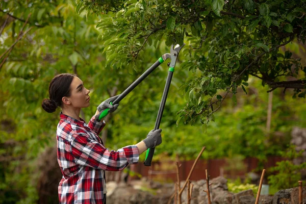 Corta Ramas Jóvenes Agricultores Que Trabajan Jardín Día Soleado Mujer — Foto de Stock