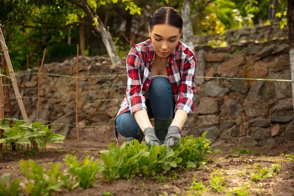 Potong Cabang Gadis Muda Petani Bekerja Kebunnya Hari Yang Cerah — Stok Foto