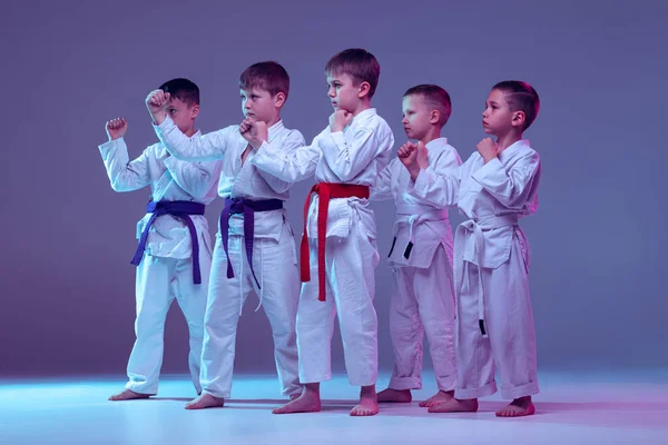 Sport team. Group of kids, preschool age boys, taekwondo athletes in white doboks standing together isolated on lilac color background. Concept of sport, education, skills, martial arts, healthy