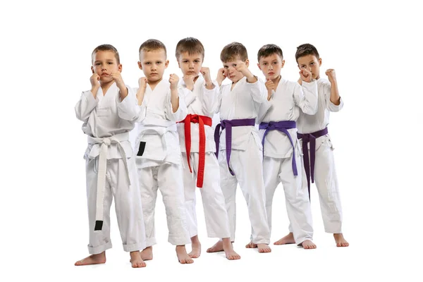Futuras Campeonas Retrato Niños Edad Preescolar Combatientes Karate Principiantes Doboks — Foto de Stock