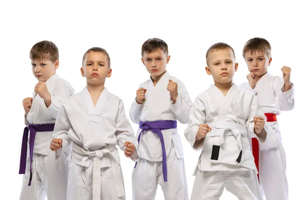 Futuri Campioni Ritratto Ragazzi Età Prescolare Combattenti Karate Principianti Dobok — Foto Stock