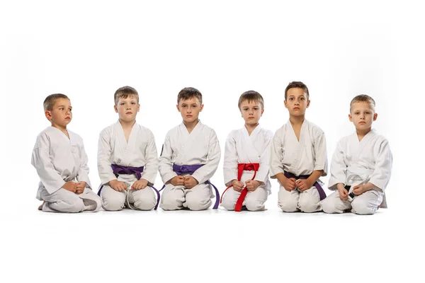 Utarbeta Grundläggande Elementen Kampen Nybörjare Karate Fighters Vita Doboks Och — Stockfoto