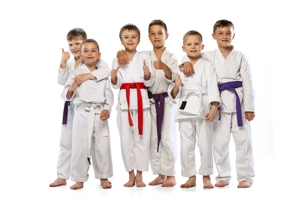 Jövőbeli Bajnokok Portré Óvodás Fiúról Kezdő Karate Harcosokról Fehér Dobokokban — Stock Fotó